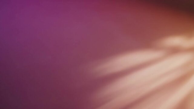 Backdrop Shallow Dof Close-up shallow dof backdrop showing soft gradients; subtle movement; safe content; no faces; no trademarks scene 4 Abstract cinematic angle