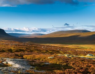 beautiful landscape view from the vast swedish highlands