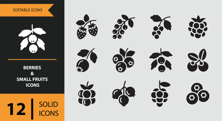 Solid berries and small fruits icons for healthy food branding