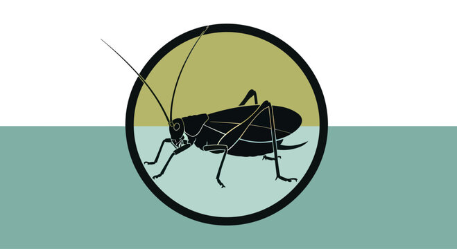 Stylized Cricket Silhouette in Circle on Split Background