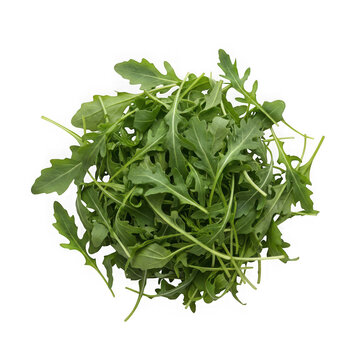 Fresh arugula leaves isolated on white background