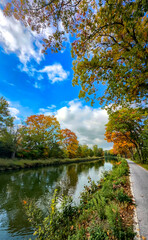 Obraz premium Vivid canal promenade under bright blue sky with vibrant autumn trees and crisp reflections, paved walkway beside water, benches