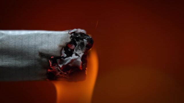 Lighting a Cigarette with Fire in Macro and Slow Motion, Smoke Causing Cancer is Inhaled, Tobacco Smolders and Burns to Ash, Red Background