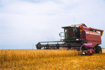 Fototapeta premium Combine harvesters in a field of wheat