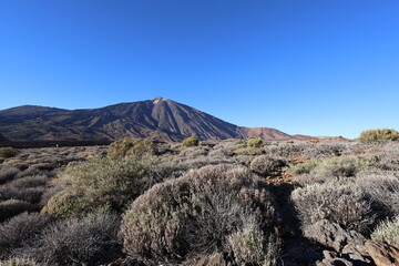 Panoramic view of the volcano in Teide National Park Tenerife under clear blue sky. Dramatic volcanic scenery expressing awe, freedom and serenity.