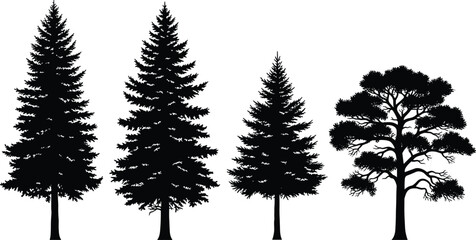 Black silhouette vector illustration set of coniferous pine and fir trees, evergreen spruce timber elements, mountain forest nature landscape icons, © MDMASIUR