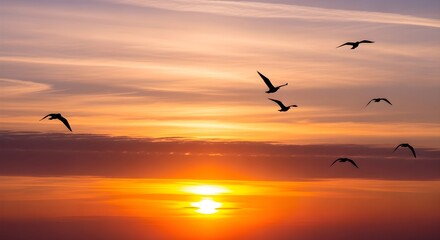 Obraz premium Golden Sunset Sky with Flying Bird Silhouettes