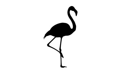 Obraz premium pink flamingo silhouette