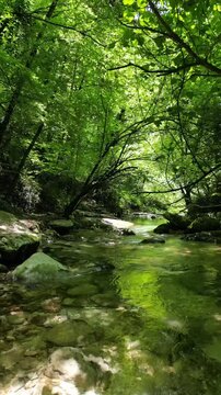 Following along green lush forest river surrounded by trees and rocks and ferns 4k drone