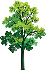 Tree with green leaves