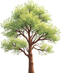 Tree with green leaves