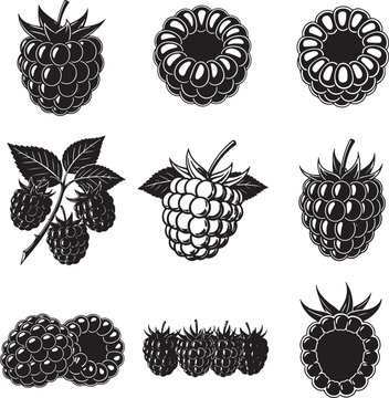 Blackberry fruit icon collection. Includes blackberries, bramble, and bush icons. Created in line art style with black and white palette.