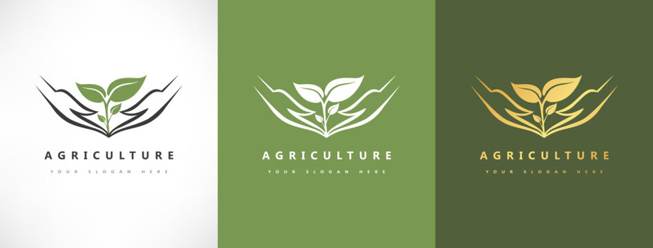 Plant in the hands logo. Caring for nature. Logo of agriculture