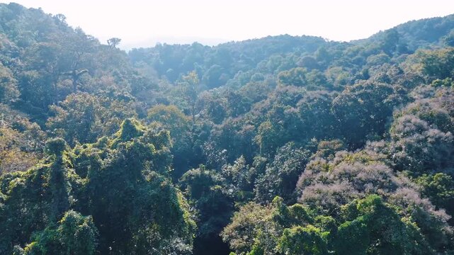 Aerial Mae Sae Waterfall cascading through jungle Chiang Mai Thailand