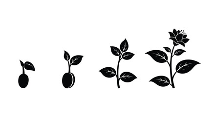 Rose growth stages depicted in a striking black silhouette © MALA