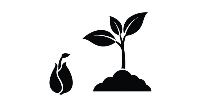 Growing plant from seed to sprout a black graphic silhouette