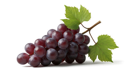 Fototapeta premium Fresh purple grapes with green leaves on white background healthy food and drink ingredients