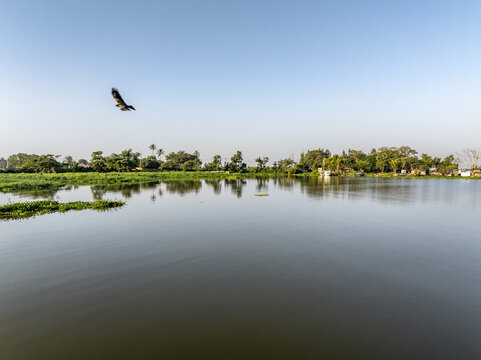 Aerial view of the tranquil lake mirroring the clear sky as a bird soars above the lush green shoreline, Kisumu, Kisumu County, Kenya.