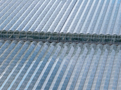 Aerial view of a vast expanse of glass greenhouses stretching into the horizon, reflecting the sky in a shimmering grid, Tredarzec, Bretagne, France.