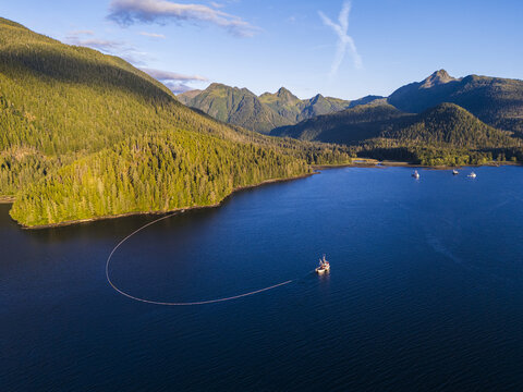 Aerial view of a commercial purse seine salmon fishing boat, with its net deployed, off the mountainous coast of Sitka, Alaska