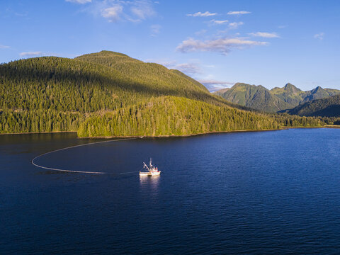 Aerial view of a commercial purse seine salmon fishing boat, with its net deployed, off the mountainous coast of Sitka, Alaska