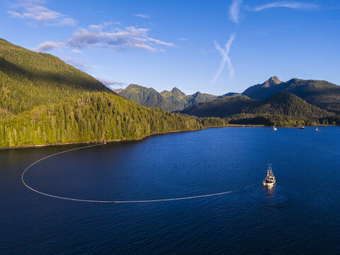 Aerial view of a commercial purse seine salmon fishing boat, with its net deployed, off the mountainous coast of Sitka, Alaska