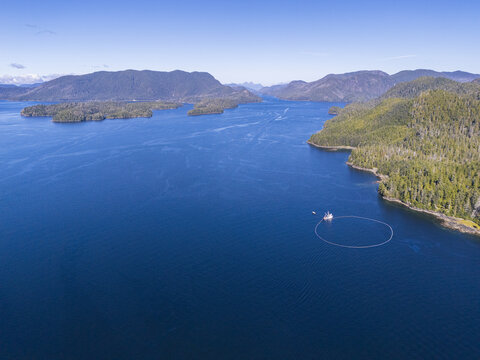 Aerial view of a commercial purse seine salmon fishing boat, with its net deployed, off the mountainous coast of Sitka, Alaska