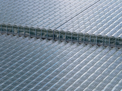 Aerial view of row upon row of greenhouses stretch across the landscape, reflecting the sky in their glass roofs, Tredarzec, Bretagne, France.