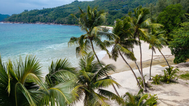 Aerial view of palm trees casting shadows on the white sands of Anse Intendance beach meeting the turquoise ocean, Takamaka, Mahe, Seychelles.