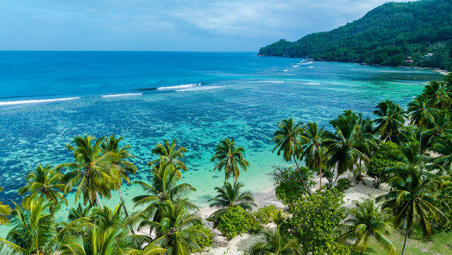 Aerial view of turquoise waters meet verdant palm trees along the coastline, a serene paradise unfolding from above, Anse Forbans, Mahe, Seychelles.