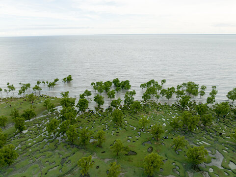 Aerial view of vibrant green trees punctuate the shoreline where land meets the sea under a soft, overcast sky, Chattogram, Chittagong Division, Bangladesh.