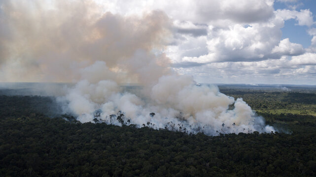 Aerial view of smoke billowing above the forest canopy, a stark contrast against the lush green landscape, Rorainopolis, Roraima, Brazil.