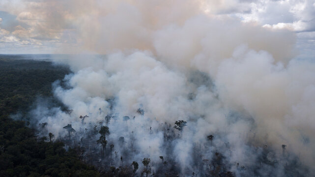 Aerial view of a dense, dark green forest partially obscured by thick, billowing smoke, painting a somber scene of environmental distress, Rorainopolis, Roraima, Brazil.
