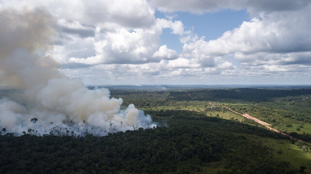 Aerial view of smoke billowing from the forest, contrasting with the lush green trees and blue sky, a stark reminder of nature's fragility, Rorainopolis, Roraima, Brazil.