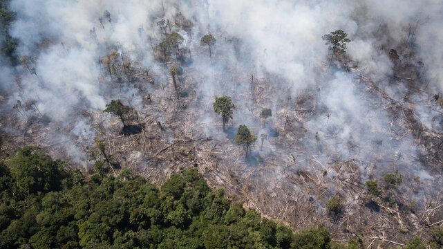 Aerial view of smoke billowing over a deforested landscape, contrasting the dark green of the untouched forest edges, Rorainopolis, Roraima, Brazil.