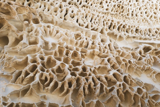 View of honeycombed rock formations carved by time and wind, creating a maze of shadows and light in Koyulus, Mangystau Region, Kazakhstan.