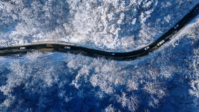 Aerial view of a winding road cutting through a snow-laden forest, vehicles navigating the path amidst the stark contrast of dark asphalt and pristine white trees, Novi Sad, Vojvodina, Serbia.