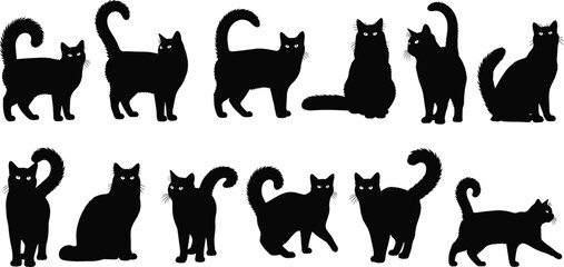 Collection of black cat silhouettes isolated on white background, cute domestic feline in sitting, standing and walking poses, vector illustration set for pet design © parves's world