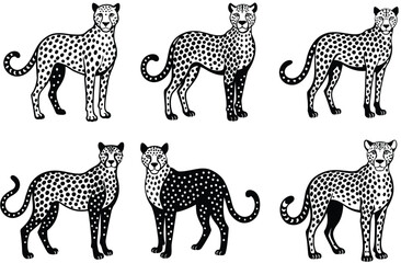 Obraz premium Set of hand drawn sketch style leopards isolated on white background. Vector illustration.