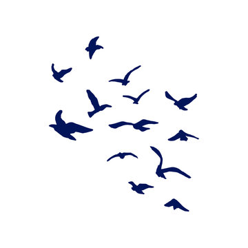 Flock of Flying Birds Silhouette Soaring in Sky Isolated Vector Design Element, Wildlife Migration, Freedom and Grace Hand Drawn Sign of Dove Illustration