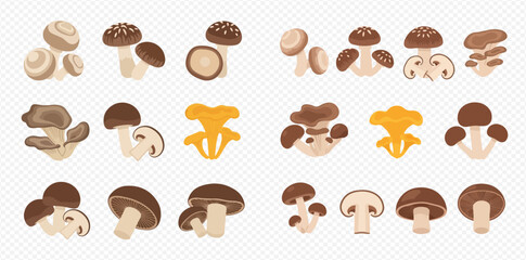 Obraz premium Variety of edible mushrooms including button, shiitake, and chanterelle, illustrated on a transparent background.