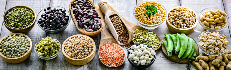 Common legumes that are the basis of plant-focused diets