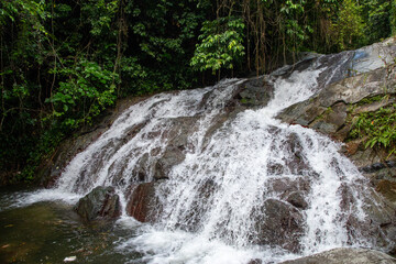 waterfall in the forest