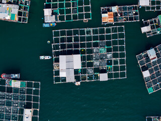 Obraz premium Aerial view of fish farm grid and floating platforms on water