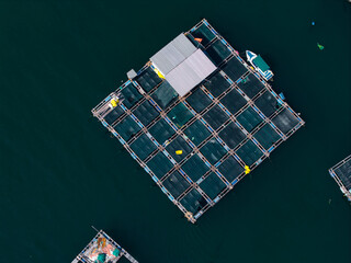 Aerial top view Single floating fish pen with small boat in open water © Parilov