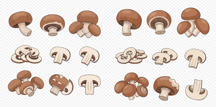 Set of fresh brown mushrooms, whole and sliced, on a transparent background, perfect for culinary designs and healthy eating concepts.