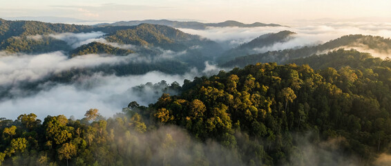 Naklejka premium misty tropical rainforest hills at sunrise aerial landscape