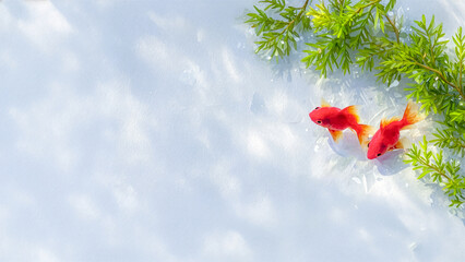 澄み切った明るい水の中を泳ぐ二匹の赤い金魚、水面に映る柔らかな光と緑の水草、日本の夏の涼しさと静寂を表現