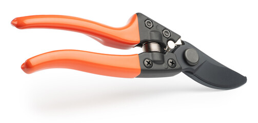 Obraz premium Gardening tool equipment. Single steel garden scissors for pruning plants and flowers. Pruning of a vineyard or fruit tree. isolated on white