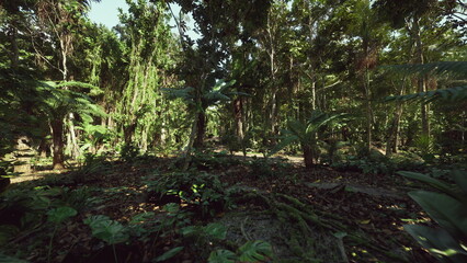 Fototapeta premium sunlit rainforest fern understory with mossy logs and dappled sunlight, botanist survey atmosphere showcasing dense canopy, layered fronds, humid air, textured